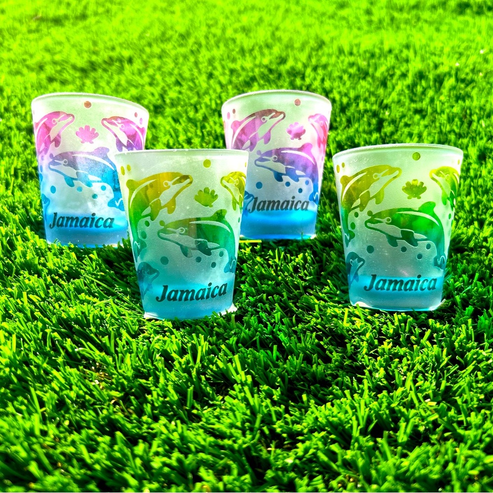 🇯🇲🌺 Jamaica souvenir 🌺🇯🇲 (4 shot glasses)